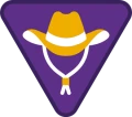 kowboje.png