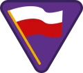 pilsudczycy.png