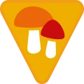 zbieracz-grzybow.png