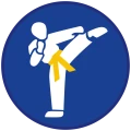 znawca sztuk walki.png