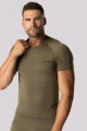 forest green3.jpg