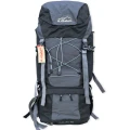 palau 65.webp