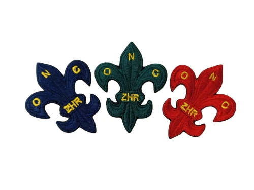 Lilijka-instruktorska-ZHR.webp